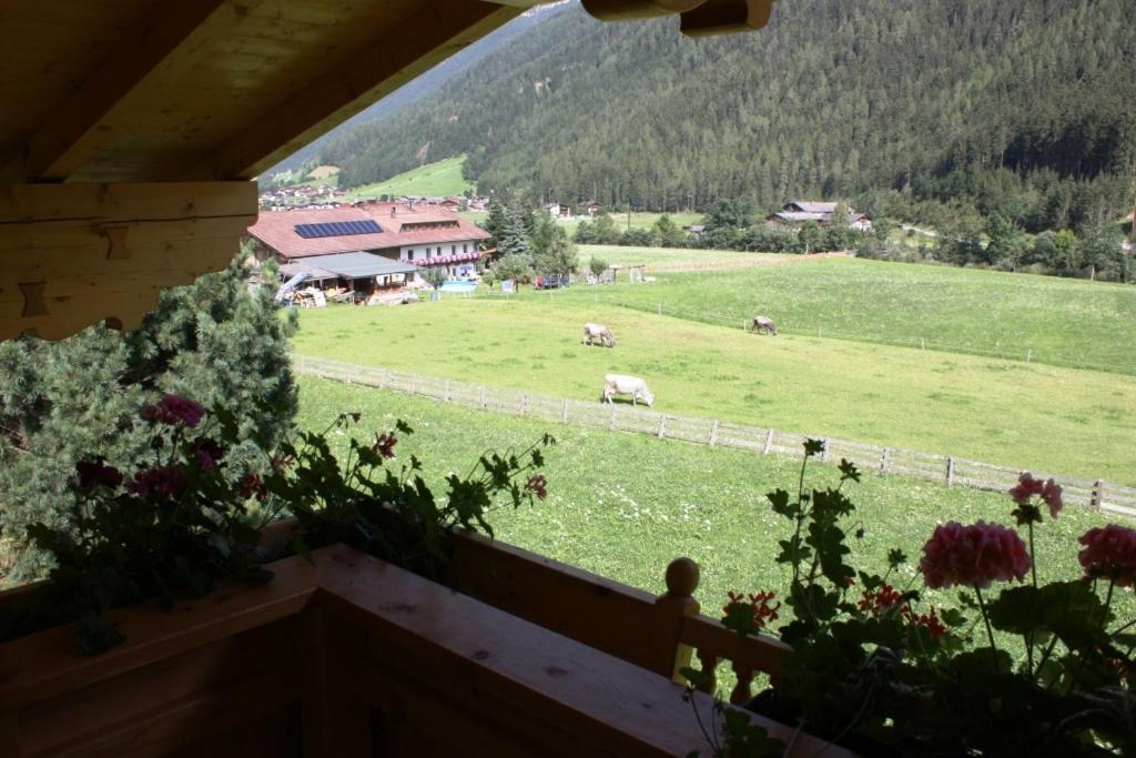 Landhaus Alpensonne Neustift im Stubaital Buitenkant foto
