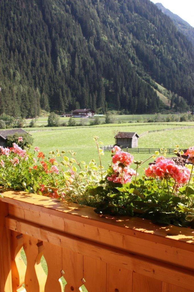 Landhaus Alpensonne Neustift im Stubaital Buitenkant foto