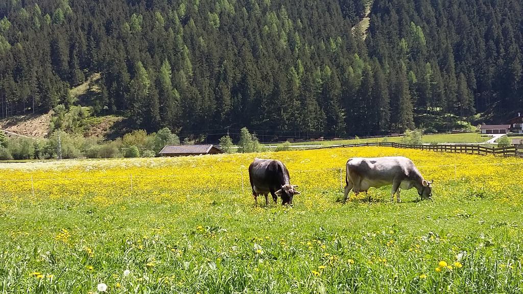 Landhaus Alpensonne Neustift im Stubaital Buitenkant foto