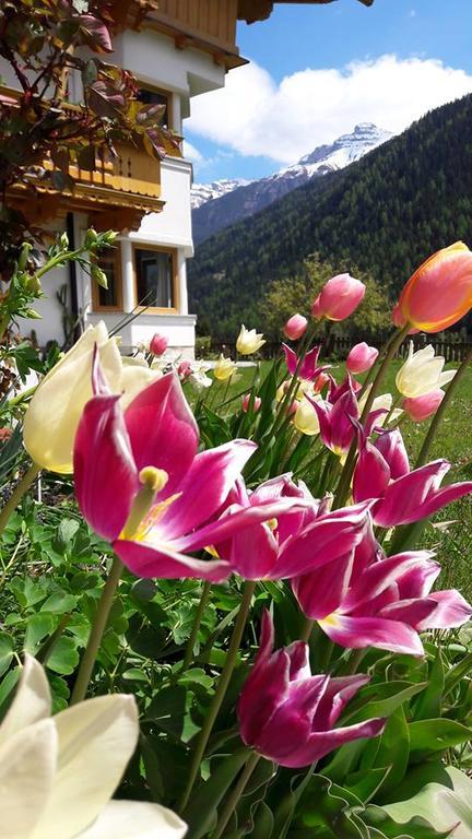 Landhaus Alpensonne Neustift im Stubaital Buitenkant foto